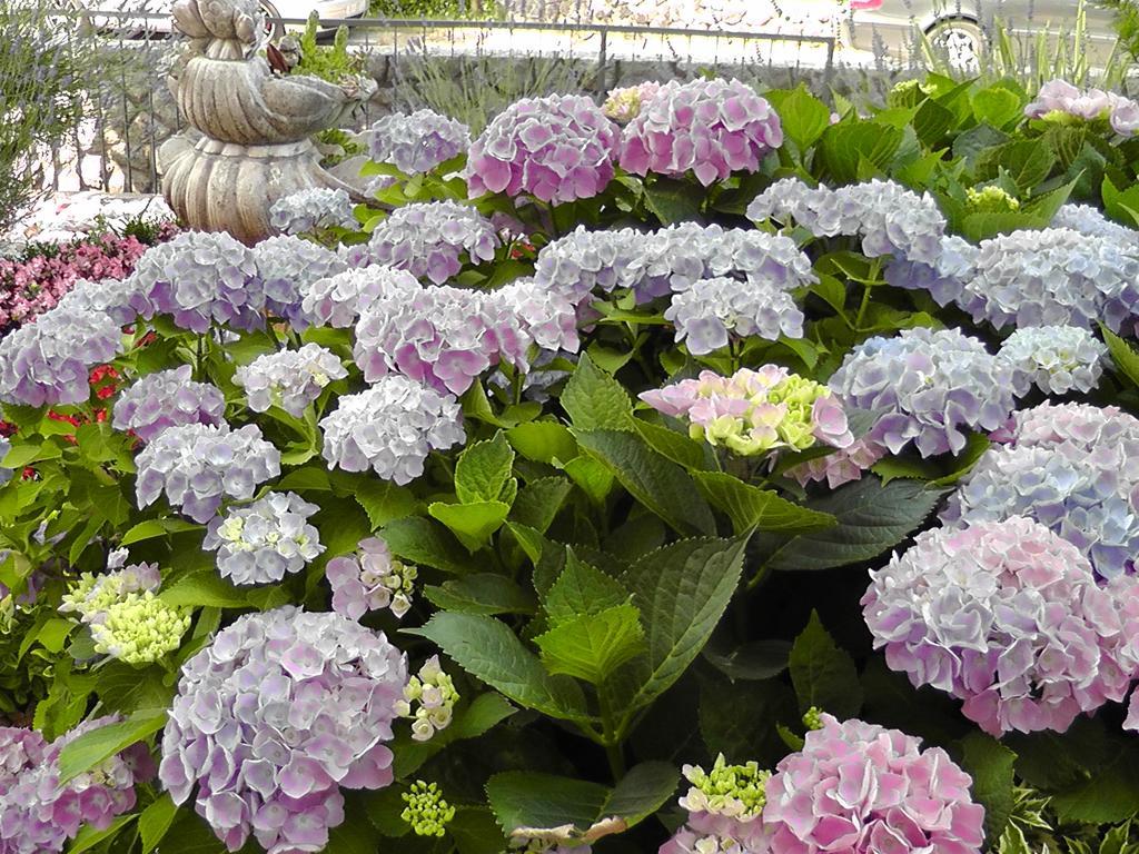 Lavanda 3 Njivice Luaran gambar